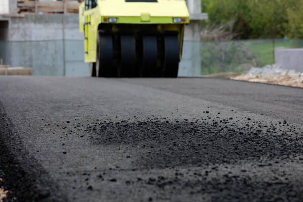 Best Driveway Pavers Near Me  in Sherwood, WI